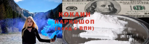 прущие грибы Алзамай