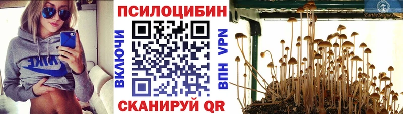 Галлюциногенные грибы ЛСД  Сыктывкар 