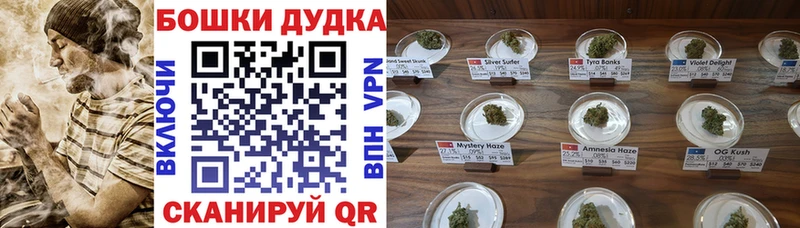 Бошки Шишки VHQ Сыктывкар